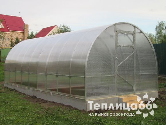 Теплица Рада Макси из поликарбоната, ширина 3 м